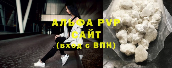 стаф Абаза