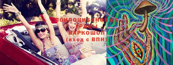 стаф Абаза