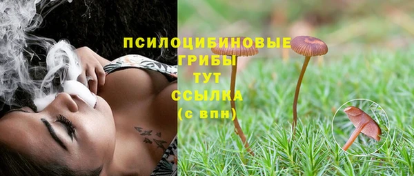 герыч Абинск