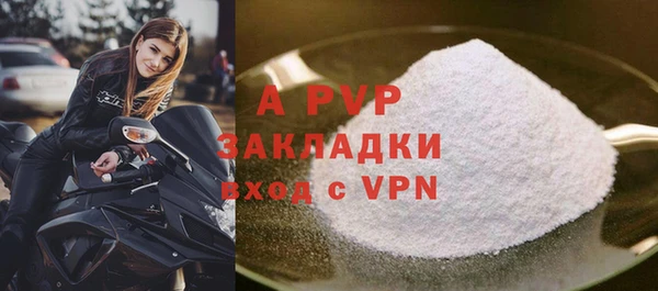 стаф Абаза